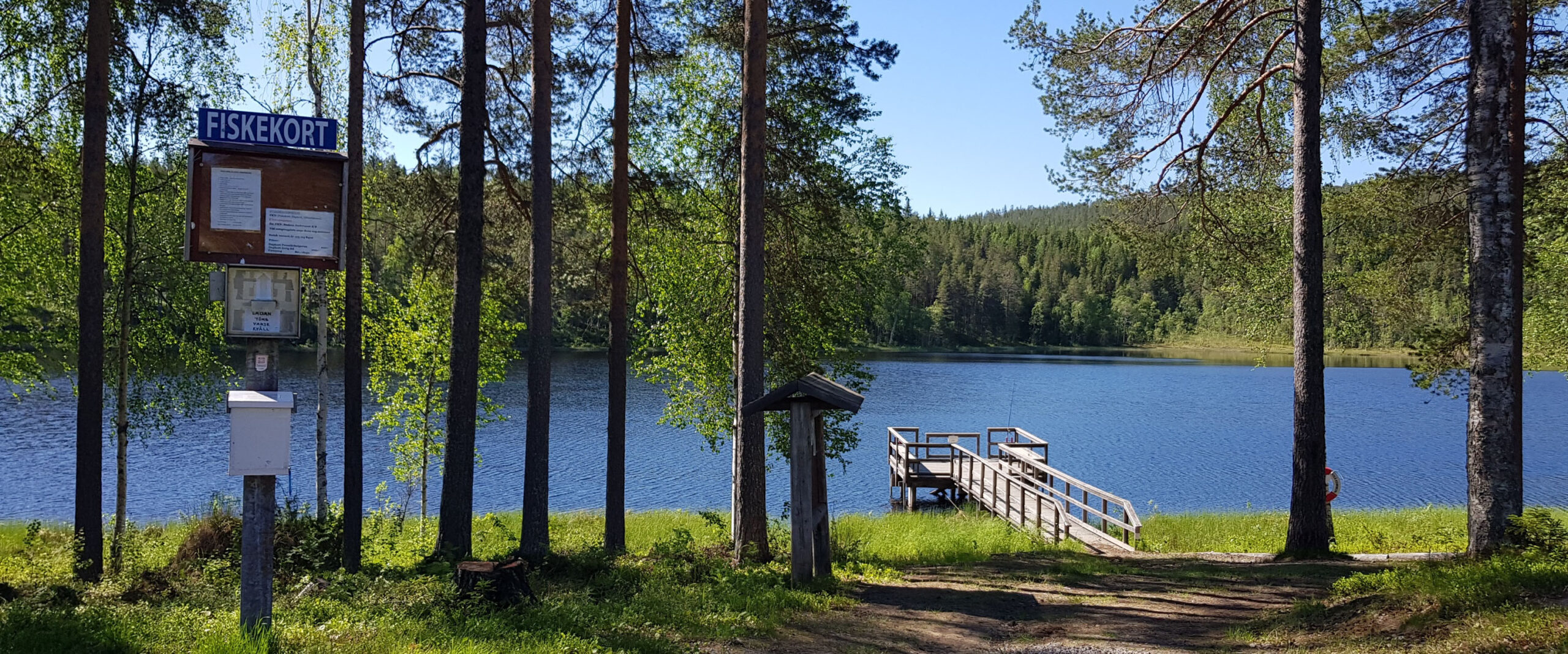 Lillbrännträsket