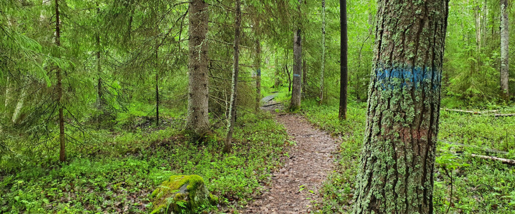 Along the blue trail at Fårön