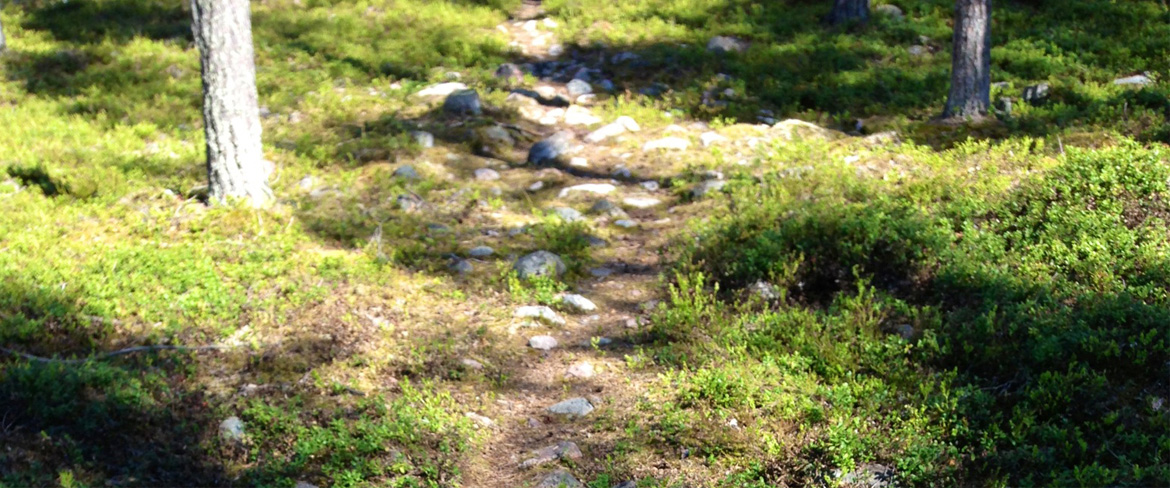 Svartlidens naturreservat