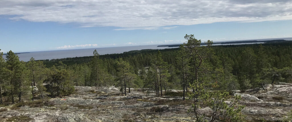 View from the trail
