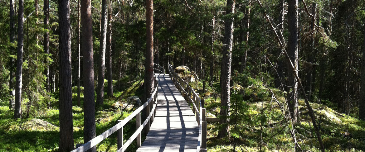 Fårön - island in Piteå archipelago