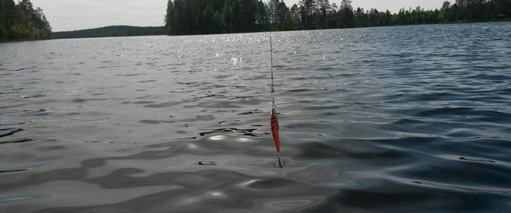 Fiskedrag i vatten
