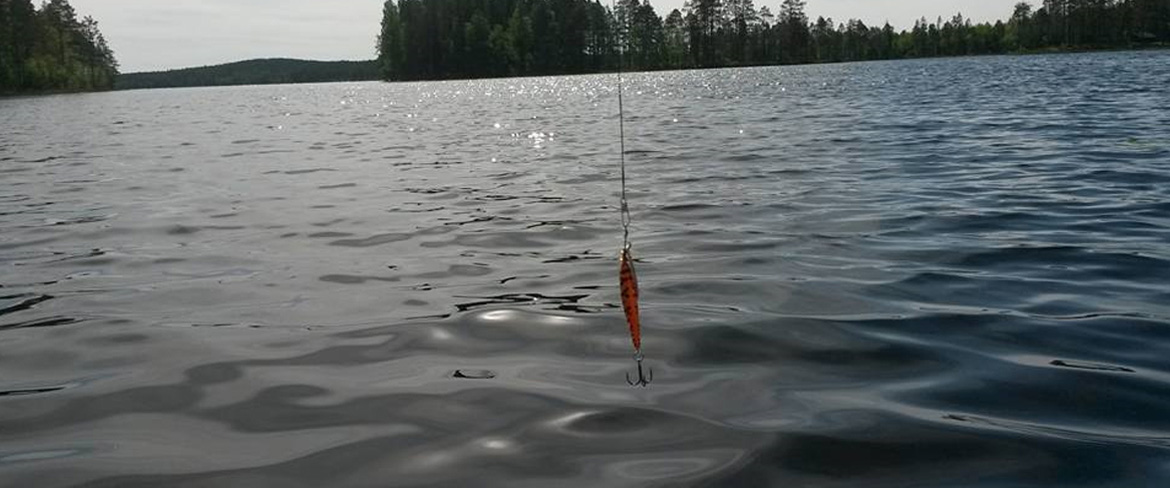 Borgforsälven