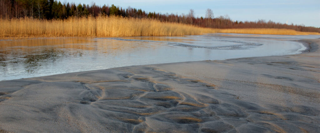 The beach at fall