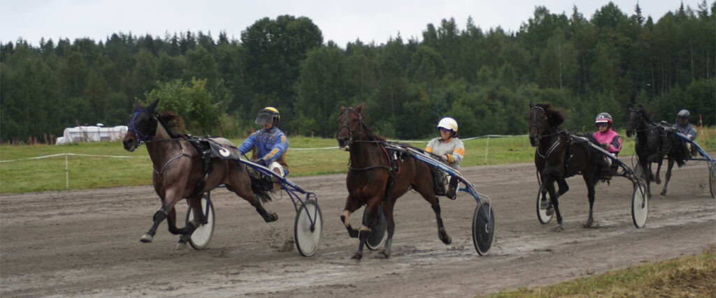 Horses on the track
