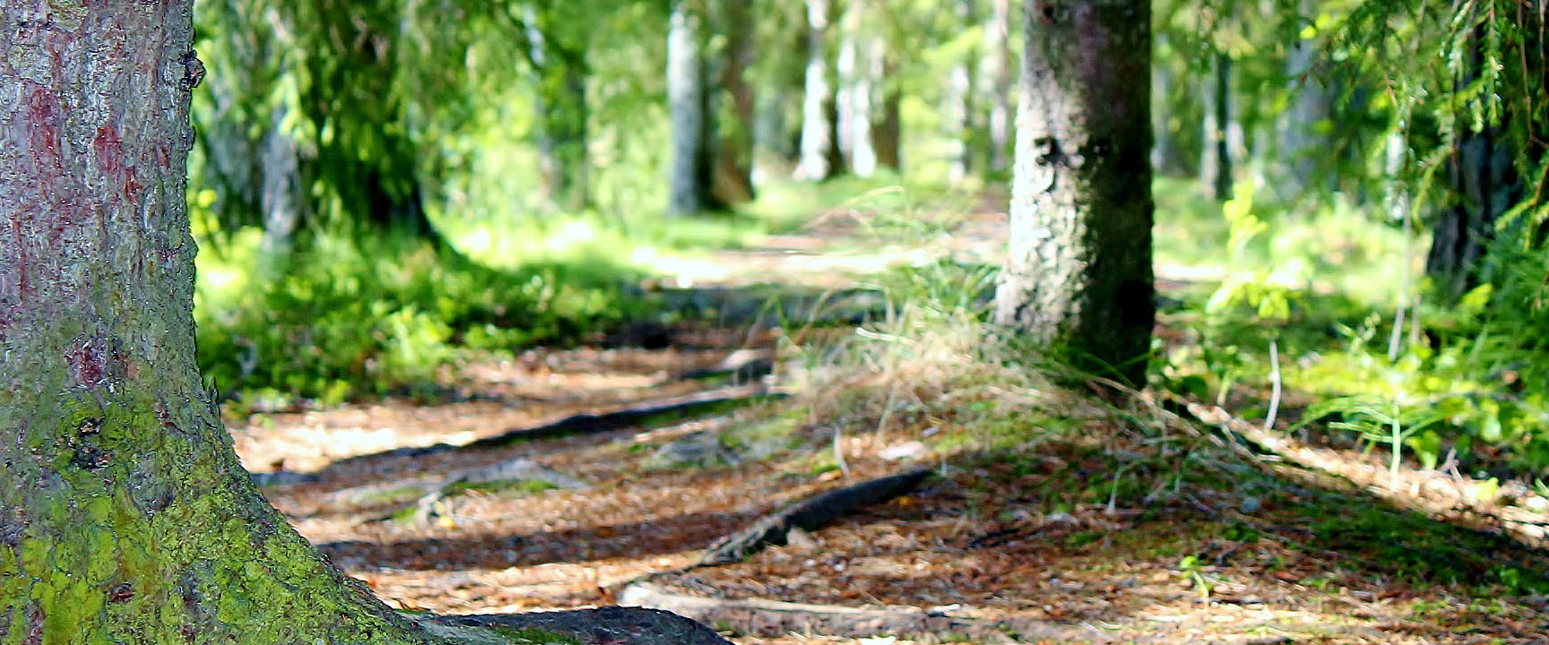 Hike in Piteå - orange trip