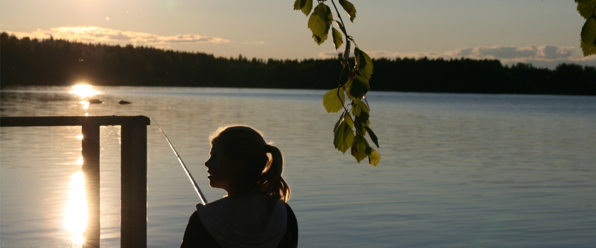 Piteälven - Sikfors FVO