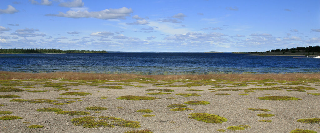 Stenskär