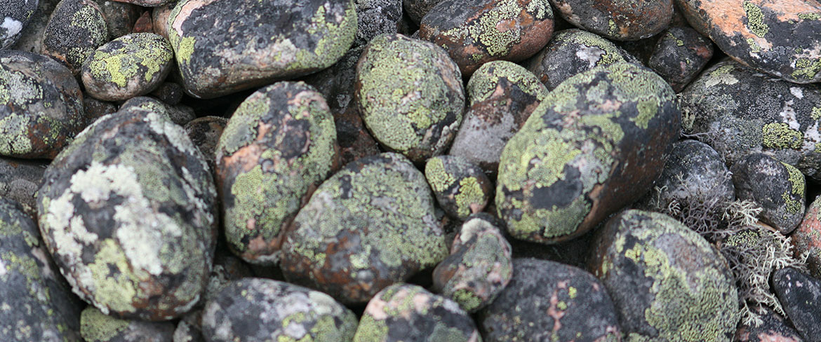 Mosesholmen, Hällskäret