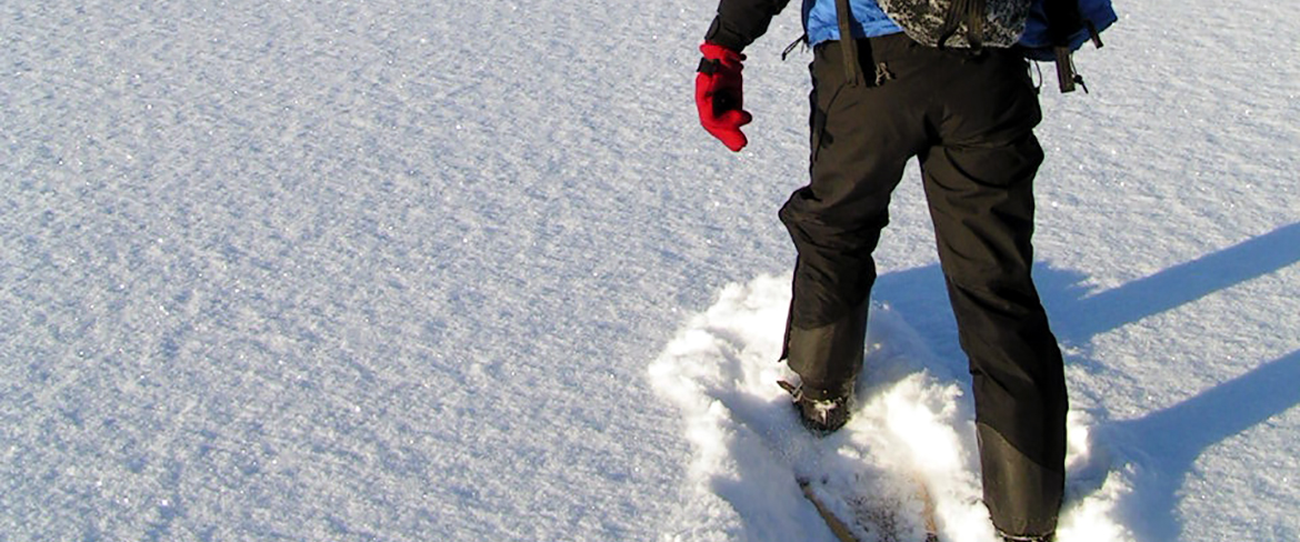 The Solander trail - Snowshoetrails