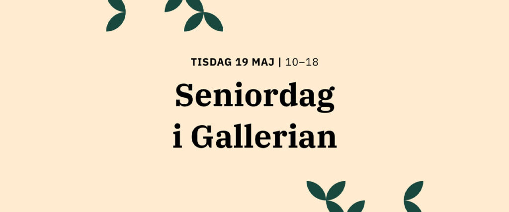 Seniordag