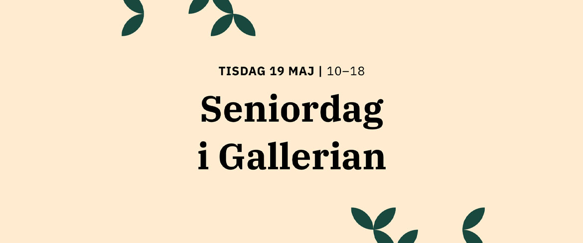Seniordag i Gallerian